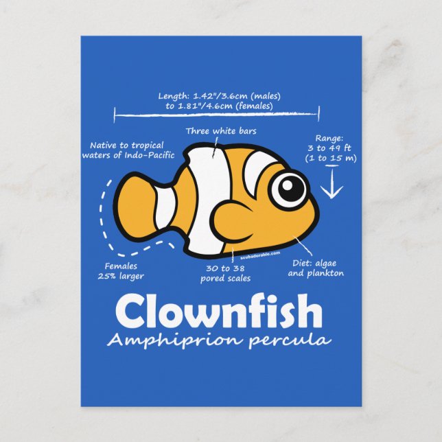Clownfish Statistics Postcard (Front)