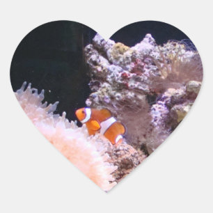 Clownfish Sticker