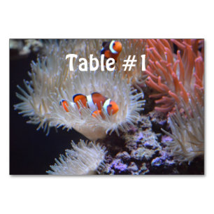 Clownfish Table Number