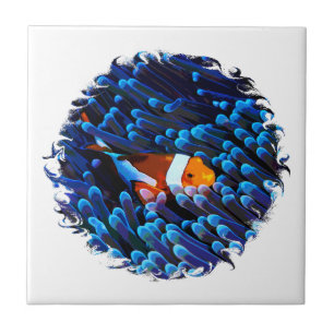 Clownfish Tile