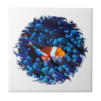Clownfish Tile