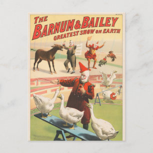 Clowns With Performing Geese, Roosters, & Donkey. Postcard