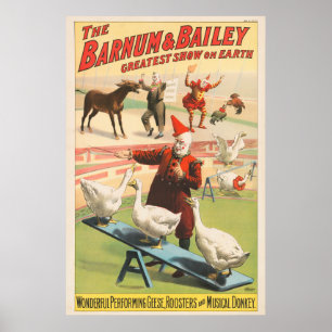 Clowns With Performing Geese, Roosters, & Donkey. Poster