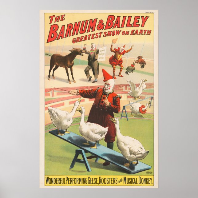 Clowns With Performing Geese, Roosters, & Donkey. Poster (Front)
