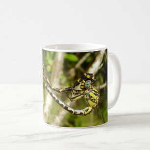 Club-tailed Dragonflies Mating Bug Mug