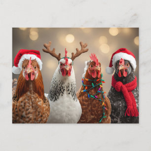 Clucking All the Way Funny Chicken Christmas Holiday Postcard