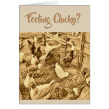 CLUCKY CHICKENS CARD