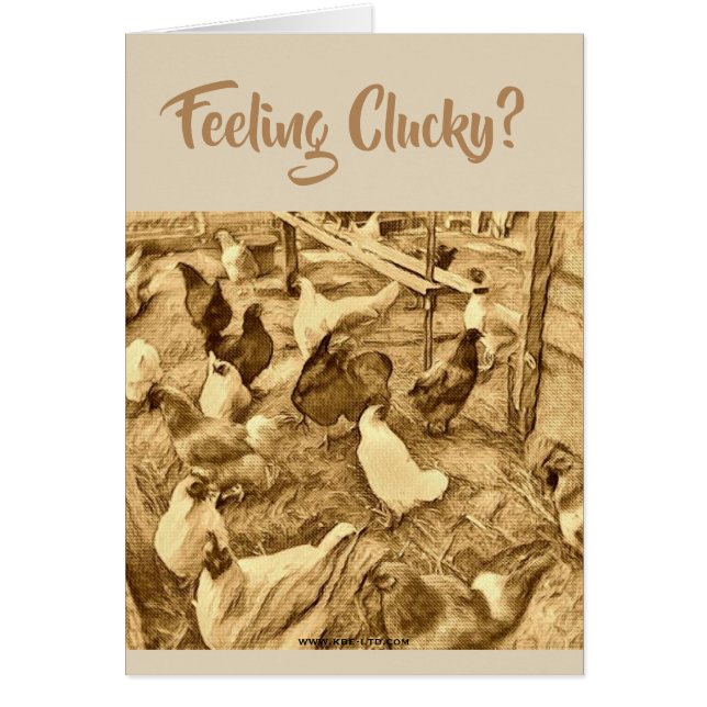 CLUCKY CHICKENS CARD (Front)