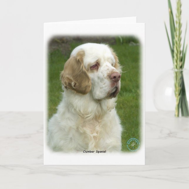 Clumber Spaniel 9Y003D-101 Card (Front)