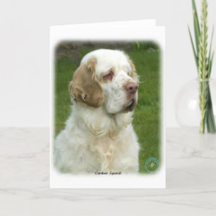 Clumber Spaniel 9Y003D-101 Card