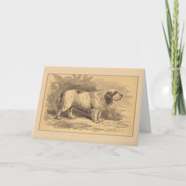 Clumber Spaniel General Greeting Card (Front)