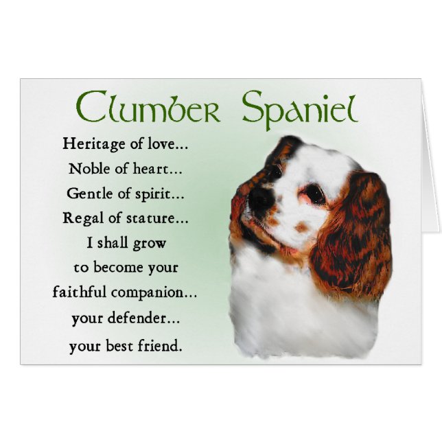 Clumber Spaniel Gifts (Front Horizontal)