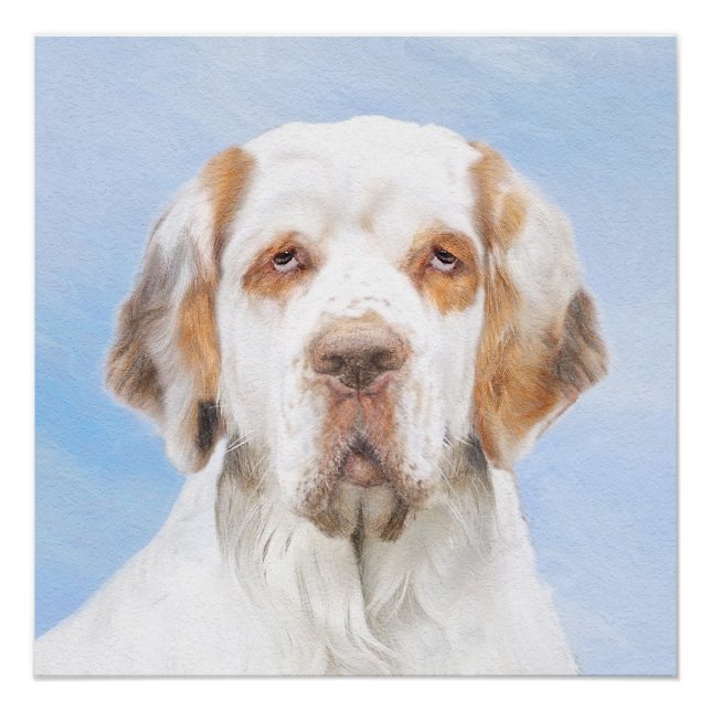 Clumber Spaniel Painting - Cute Original Dog Art Poster (Front)