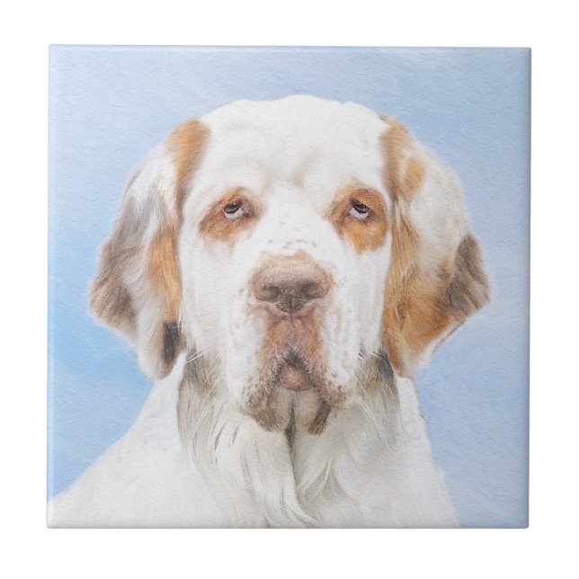 Clumber Spaniel Painting - Cute Original Dog Art Tile (Front)