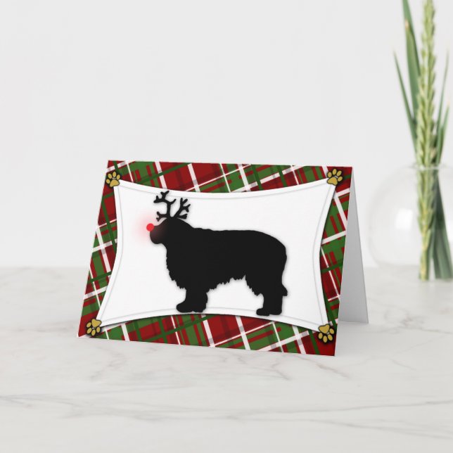Clumber Spaniel Reindeer Christmas Card (Front)