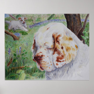 Clumber Spaniel - Spring Woodland print