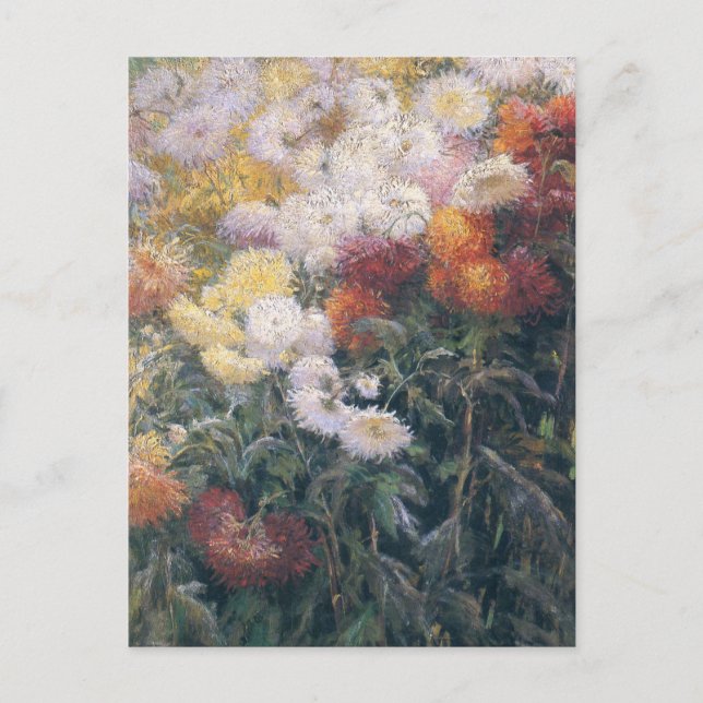 Clump of Chrysanthemums by Gustave Caillebotte Postcard (Front)