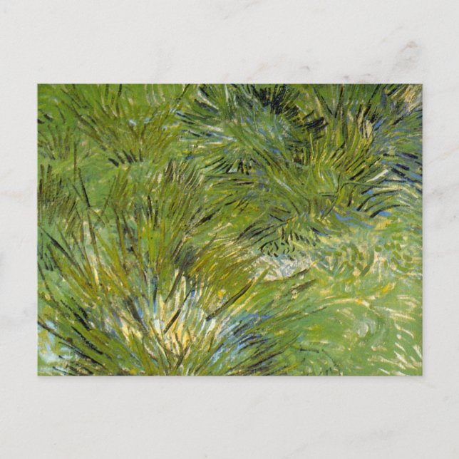 Clumps of Grass by Vincent van Gogh Postcard (Front)