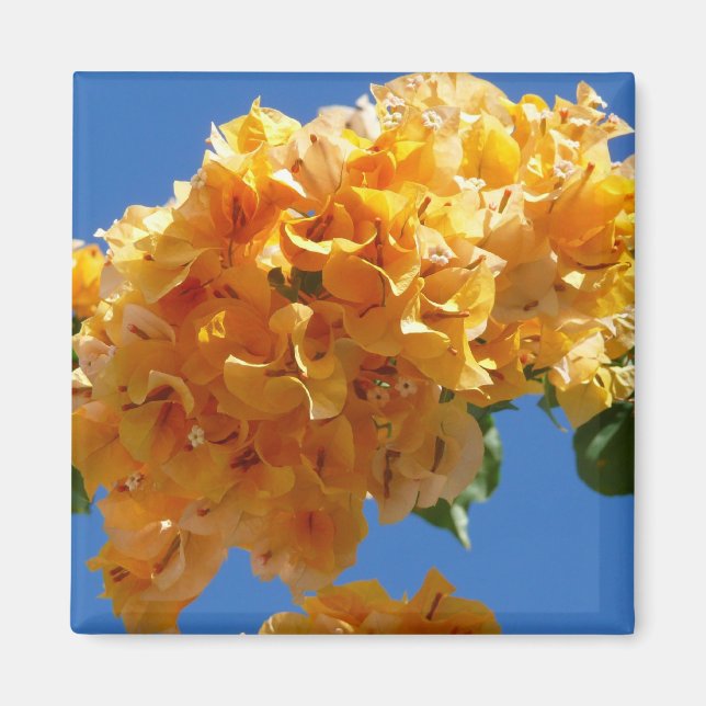 Cluster of Golden Bougainvillea Tropical Floral Magnet (Front)