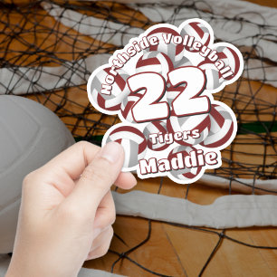 cluster of maroon grey volleyballs team name