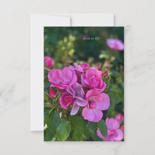 Cluster of Pink Roses Card (Front)