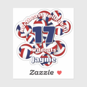 cluster of red blue volleyballs team name