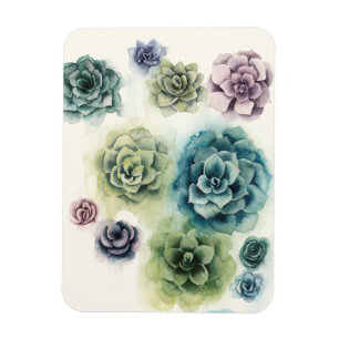 Cluster of Succulents Magnet