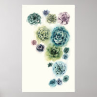Cluster of Succulents