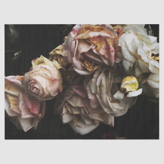 Cluster of White Roses Tissue Paper (Front)