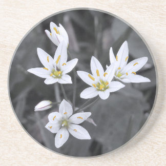 Cluster of Wildflowers Macro Photo BW/Colour Coaster