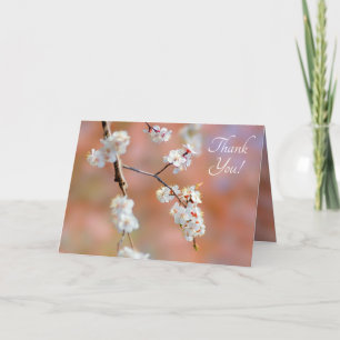 Clusters Of Japanese Apricot Flowers Thank You Card