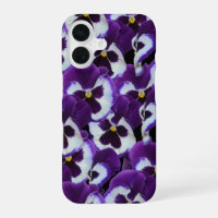 Clusters of Purple White Pansies: Harmonious Grace
