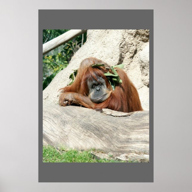 Clyde Poster (Front)