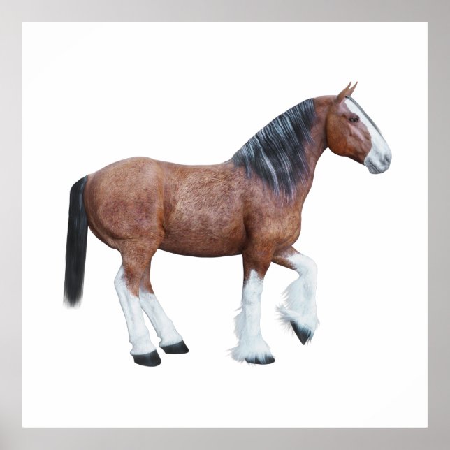 Clydesdale 3 poster (Front)