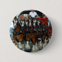 Clydesdale 6 horse hitch