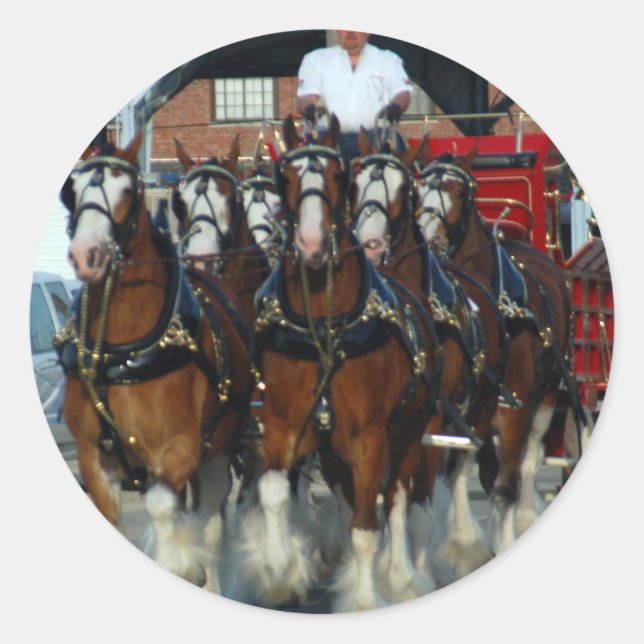 Clydesdale 6 horse hitch classic round sticker (Front)