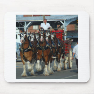 Clydesdale 6 horse hitch mouse mat