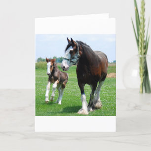 Clydesdale and Filly Card