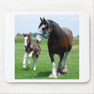 Clydesdale and Filly Mouse Mat