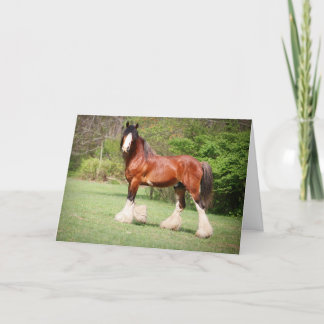 Clydesdale Birthday Card