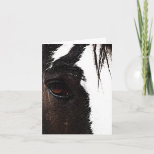 Clydesdale Card