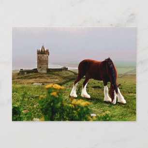 Clydesdale Castle Postcard