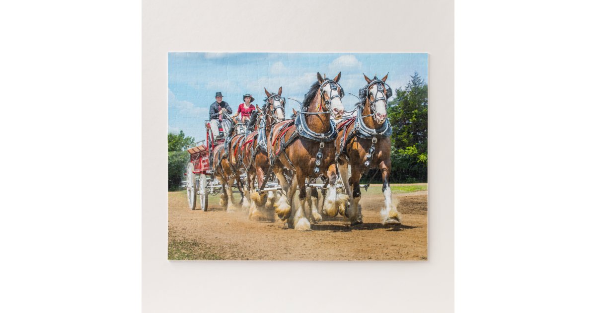 Clydesdale Draft Horse Jigsaw Puzzle | Zazzle