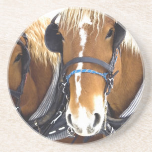 Clydesdale Draught   Horse Coasters