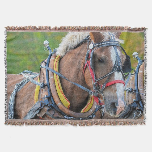 Clydesdale Draught Horse Equine Photo Gift Throw Blanket (Front)