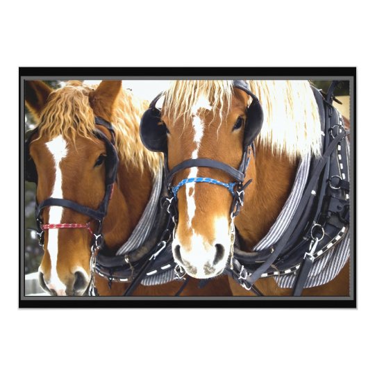 Clydesdale Draught Horse Invitation