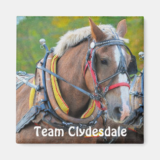 Clydesdale Draught Horse Team Magnetic Art Gift Magnet