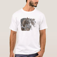 Clydesdale Draught Horse Team