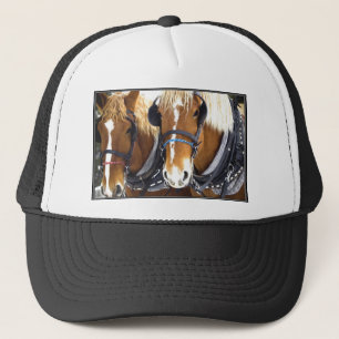 Clydesdale Draught Horses Hat