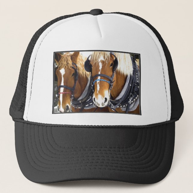 Clydesdale Draught   Horses Hat (Front)